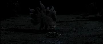 Foto im Vollbild