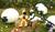 Hintergrund