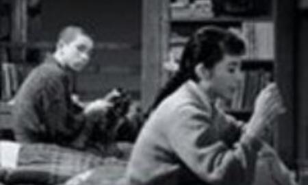 Galerie Foto