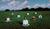 Hintergrund