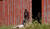 Hintergrund