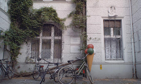 Galerie Foto
