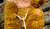Hintergrund