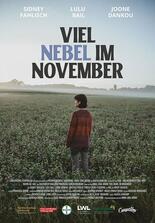 Viel Nebel im November