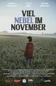 Viel Nebel im November