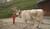 Hintergrund
