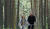 Hintergrund