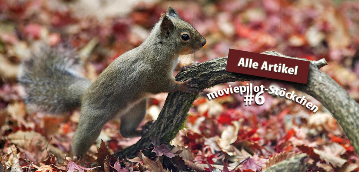 Wer fängt?