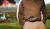 Hintergrund
