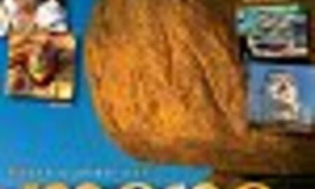 Galerie Foto