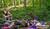 Hintergrund