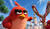 Hintergrund