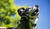 Hintergrund