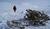 Hintergrund