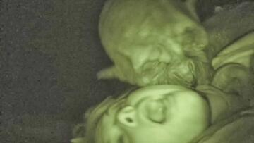 Foto im Vollbild