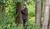 Hintergrund