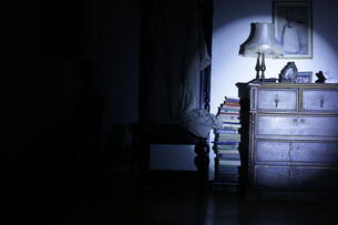 Foto im Vollbild