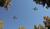 Hintergrund
