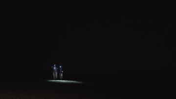 Foto im Vollbild