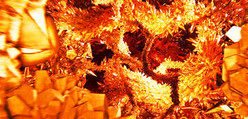 Bild zu:  Spider-Man 3