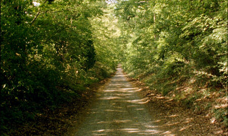 Galerie Foto