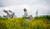 Hintergrund