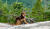 Hintergrund