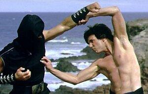 Kung Pow: Enter the Fist