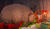 Hintergrund