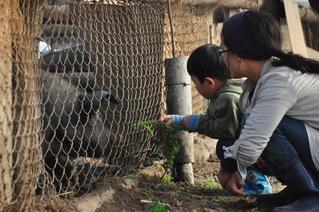 An Omnivorous Family’s Dilemma