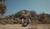 Hintergrund