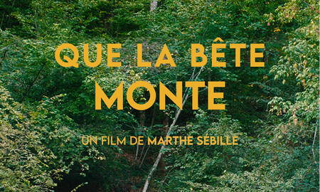 Galerie Foto
