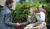 Hintergrund