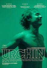 Urchin
