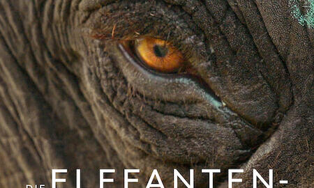Galerie Foto