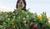 Hintergrund