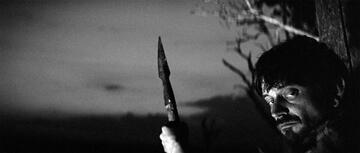 Foto im Vollbild