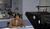 Hintergrund