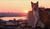 Hintergrund