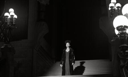 Galerie Foto