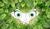 Hintergrund