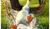 Hintergrund