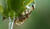 Hintergrund