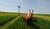 Hintergrund