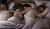 Hintergrund