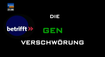 Foto im Vollbild