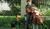 Hintergrund
