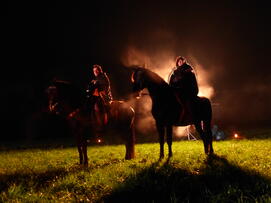 Foto im Vollbild