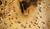 Hintergrund