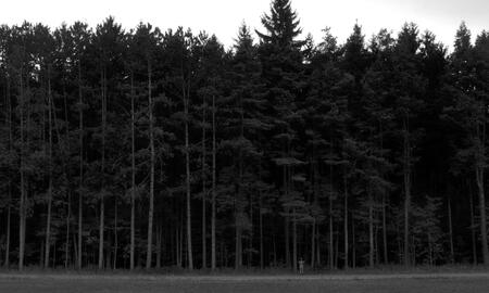Galerie Foto